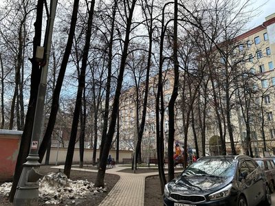 Двор со взрослыми деревьями